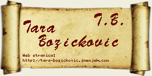 Tara Božičković vizit kartica